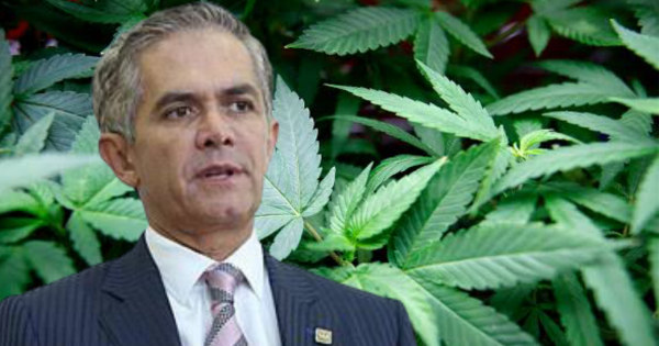 La Dosis Mancera No se puede prohibir el uso lúdico de la mariguana