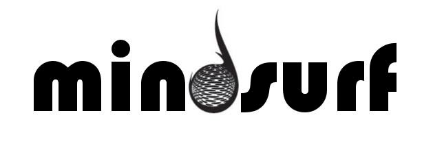 logo_mindsurf