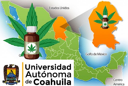 Mapa Cannabico