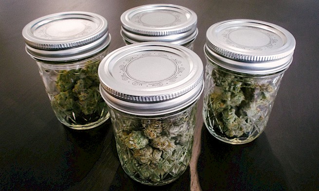 La Dosis - ¿Cuánto tiempo dura el cannabis almacenado?