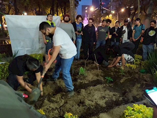 Activistas plantando cannabis como manifestación de desobediencia civil pacífica.